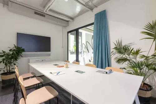 Sunlit Minimalist Boardroom With Verdant Charm