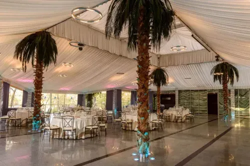 Draped indoor-outdoor event marquee in Madrid with palm trees, round tables and Spanish-style decor, set up for grand corporate events on Eventflare