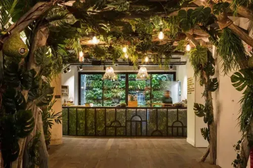 Lush Urban Jungle With Enchanting Aesthetics