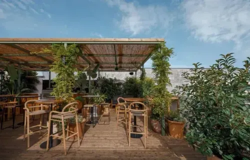 Rustic Rooftop Terrace With Lush Greenery