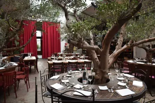 Glass-roofed dining venue in Paris built around a mature olive tree, with round table settings and red velvet curtains, hosts up to 150 guests