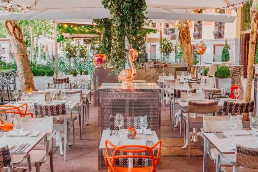Lush Garden Terrace With Vibrant Decor