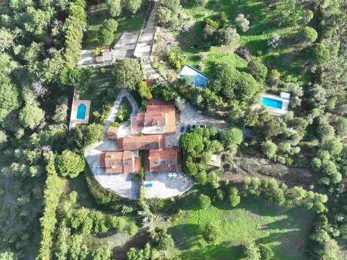 Tranquil Creative Playground With Gardens and Ocean Views