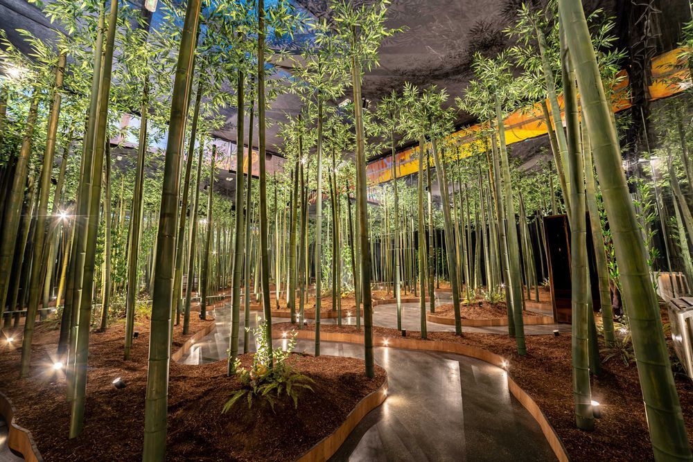 Multi-Room Immersive Venue With a Whimsical Flair
