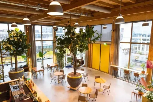 Lush Urban Venue With a Biophilic Design for Stylish Corporate Events